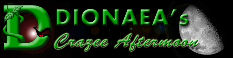 Dionaea's Crazee Aftermoon